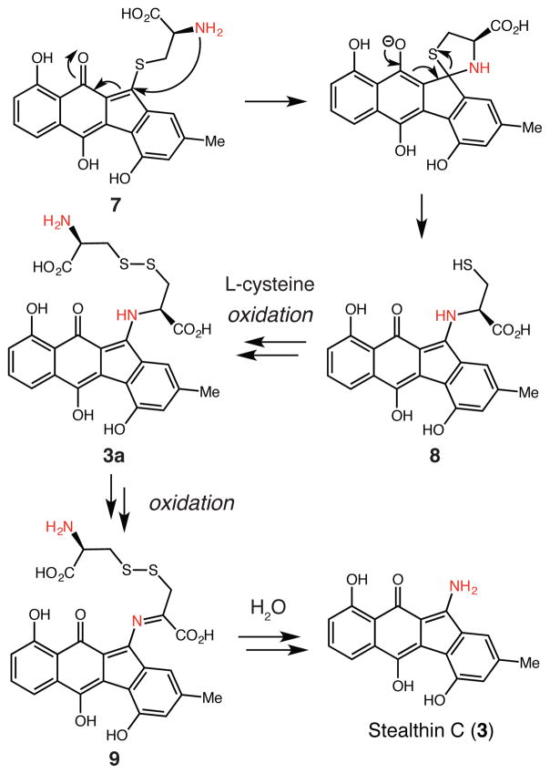 Scheme 1