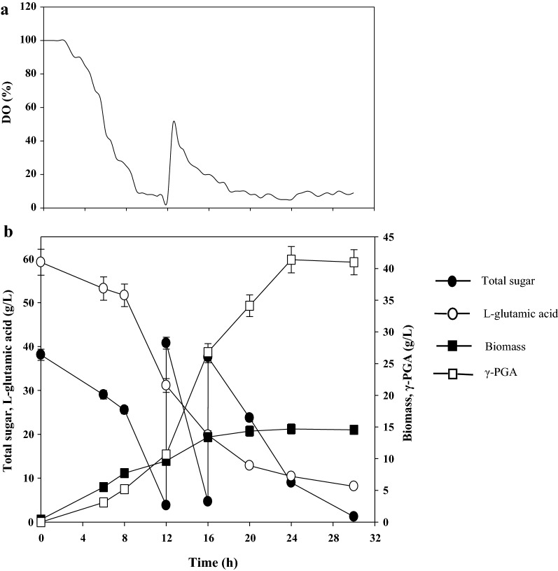 Fig. 3