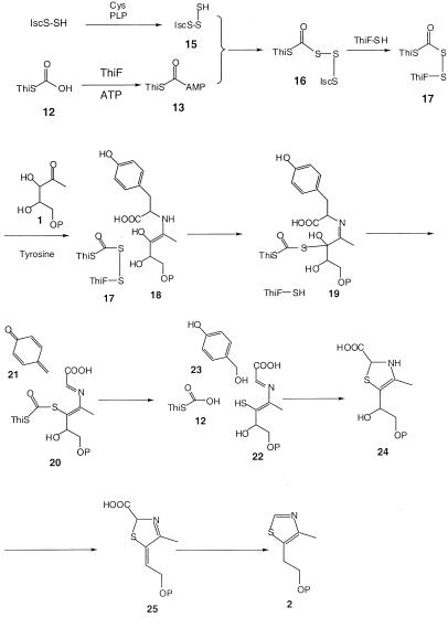 Scheme 3