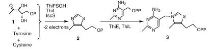 Scheme 1