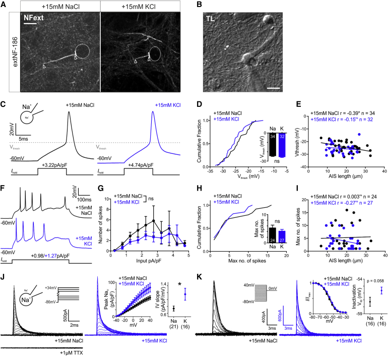 Figure 6