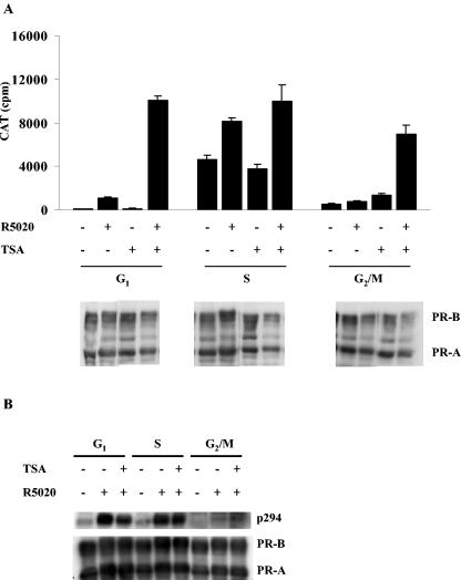 FIG. 8.