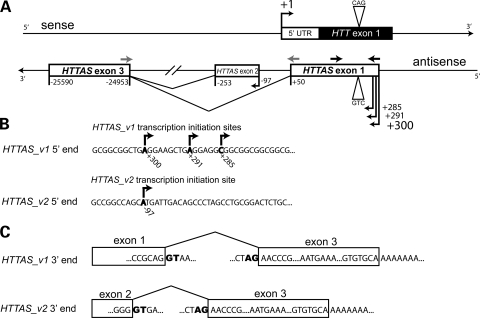 Figure 1.