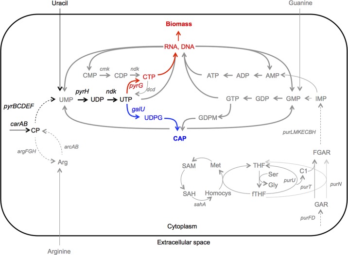 Fig 2