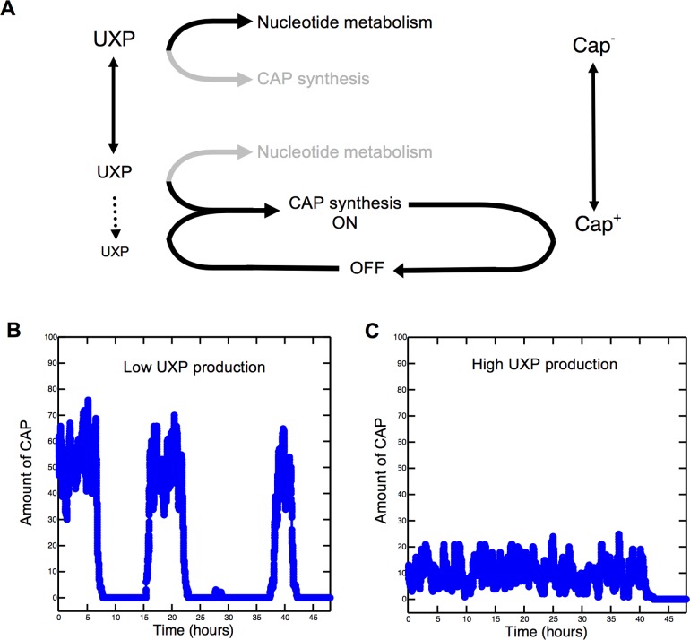 Fig 6