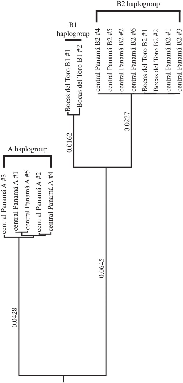 Figure 2.