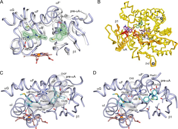 FIGURE 3.