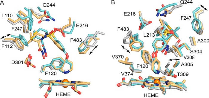 FIGURE 5.