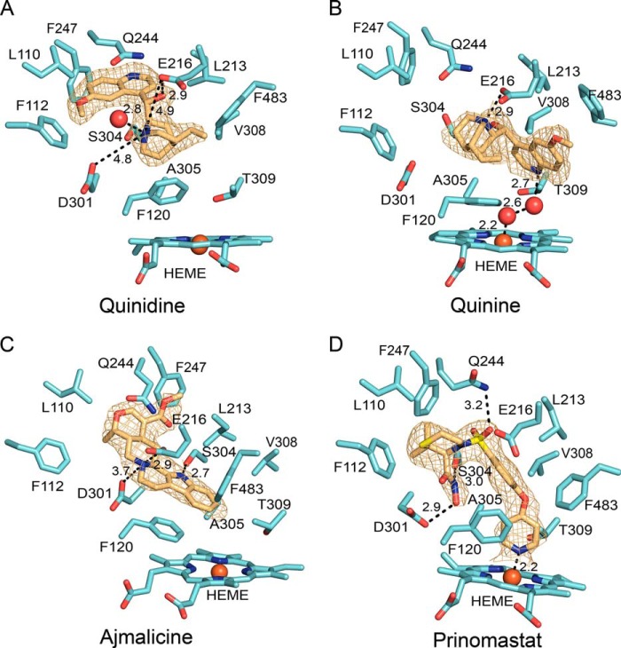 FIGURE 4.