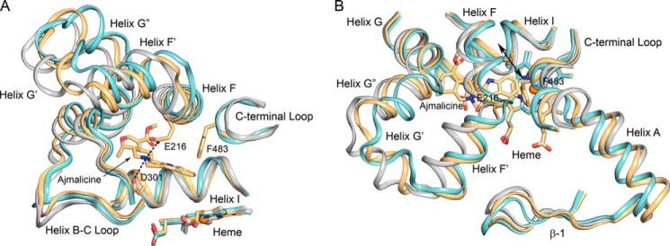 FIGURE 7.