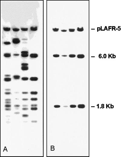 FIG. 7