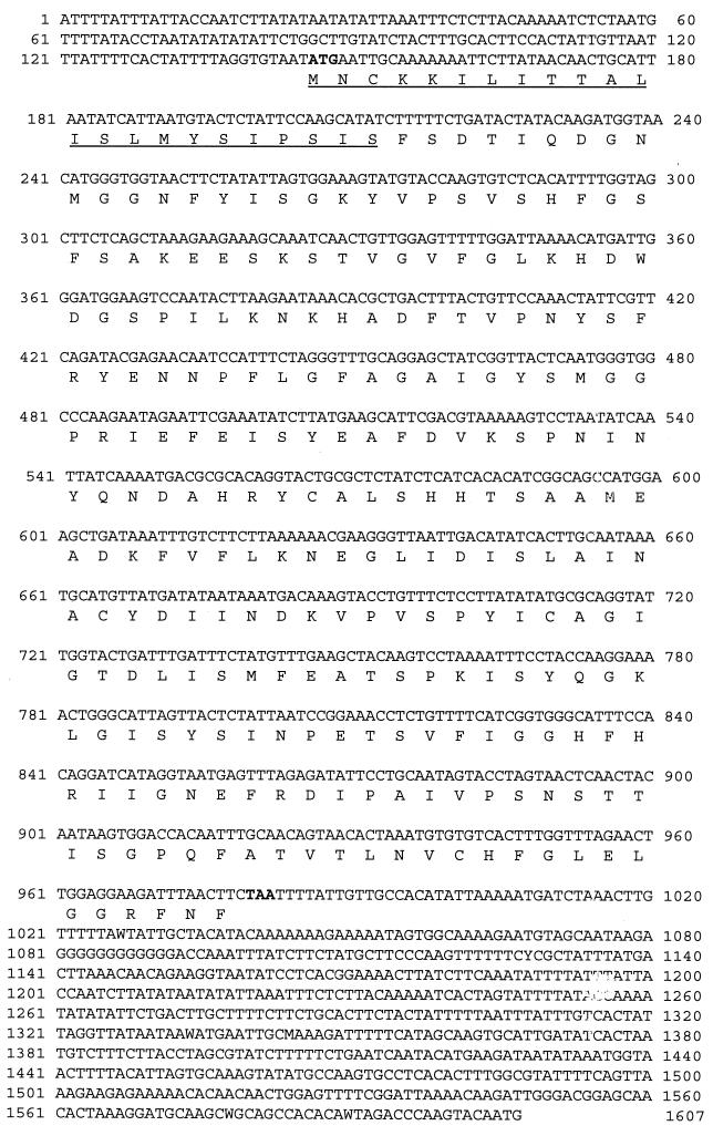 FIG. 1