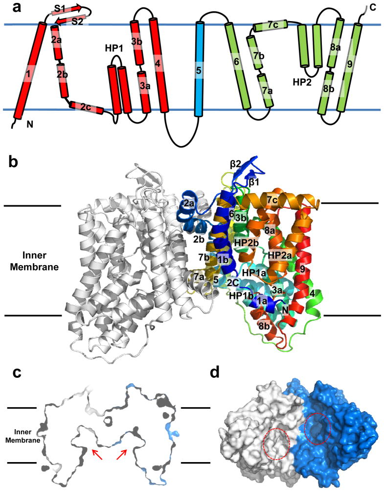 Fig. 1