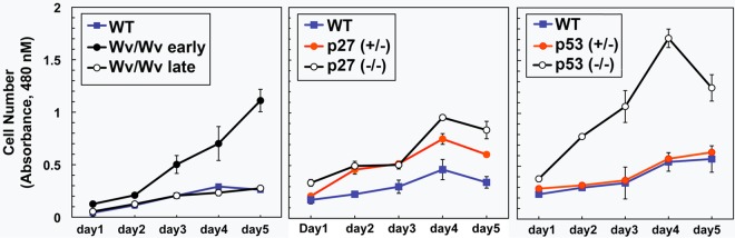 FIG 7