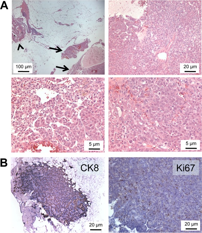 FIG 6