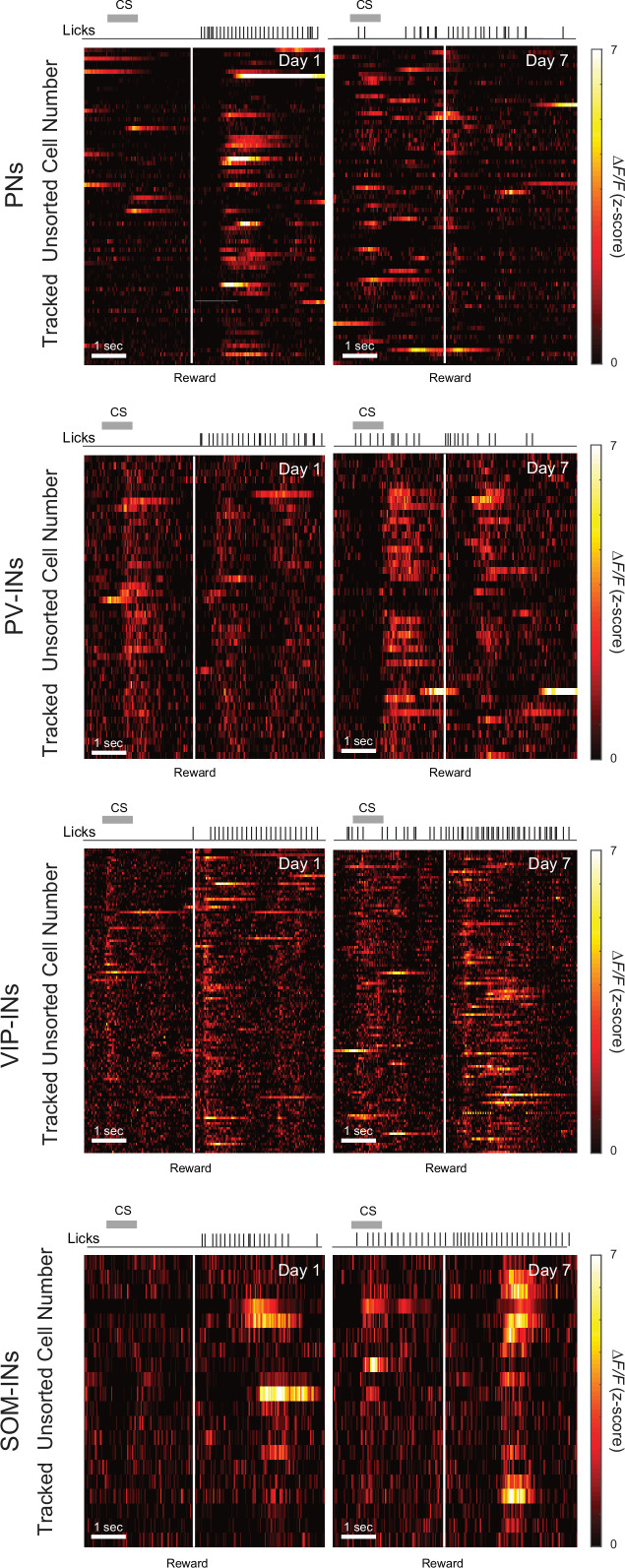 Figure 2—figure supplement 2.