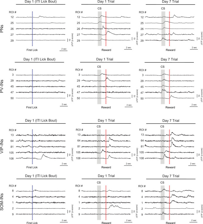 Figure 2—figure supplement 1.