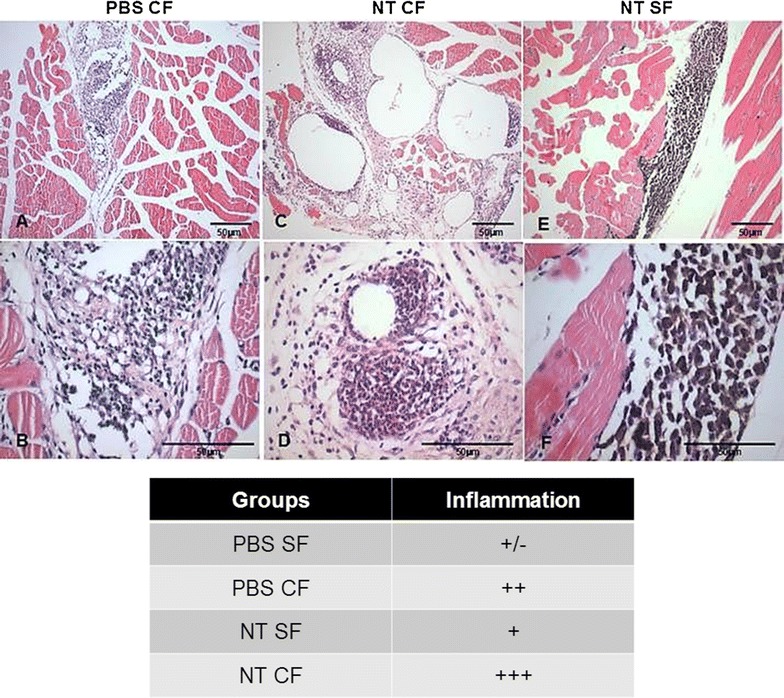 Fig. 7