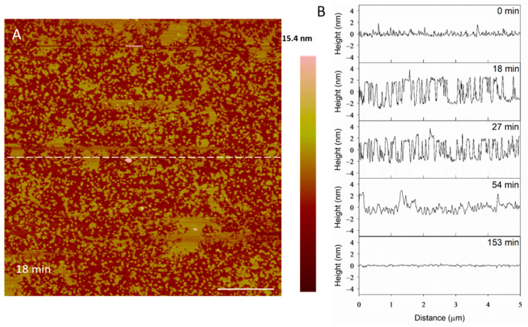 Figure 11