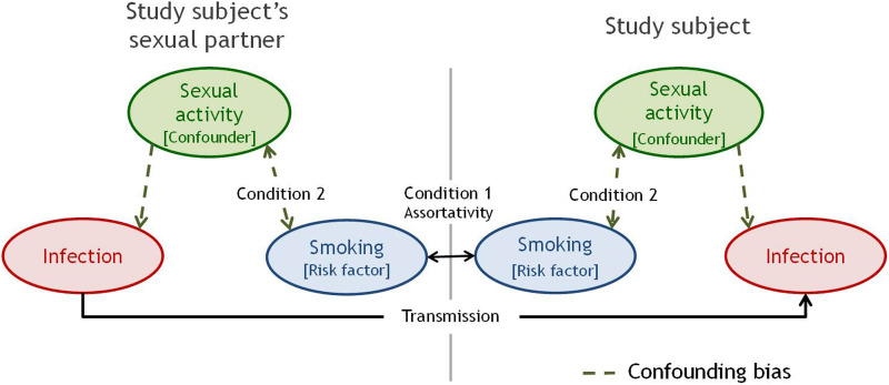 Fig. 1.