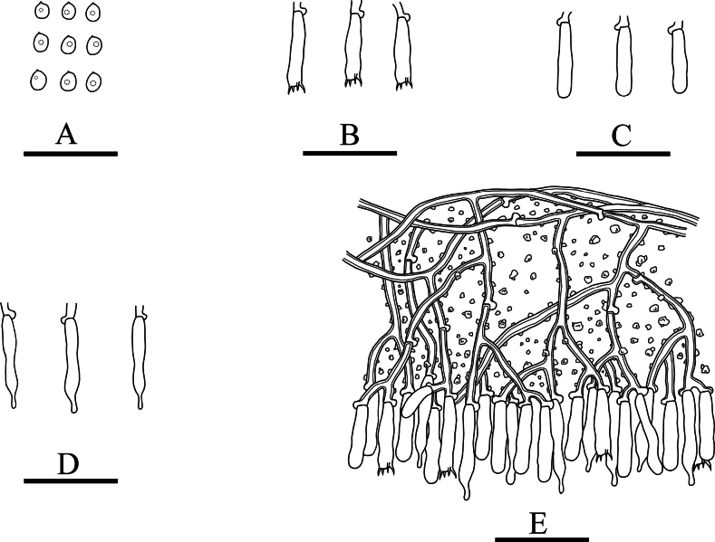 Figure 10.