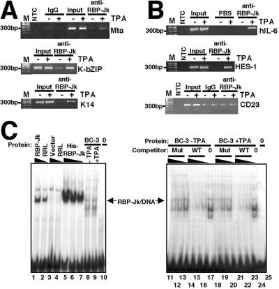 FIG. 7.