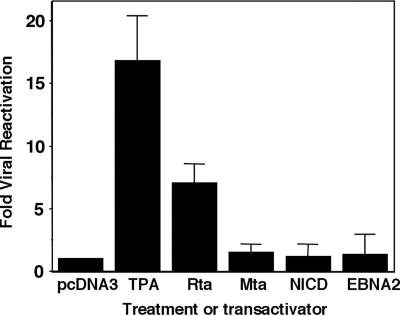 FIG. 8.