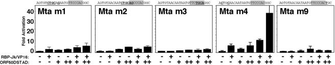 FIG. 5.