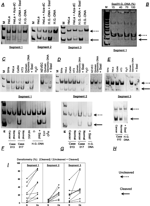 Fig. 6