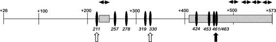 Fig. 8