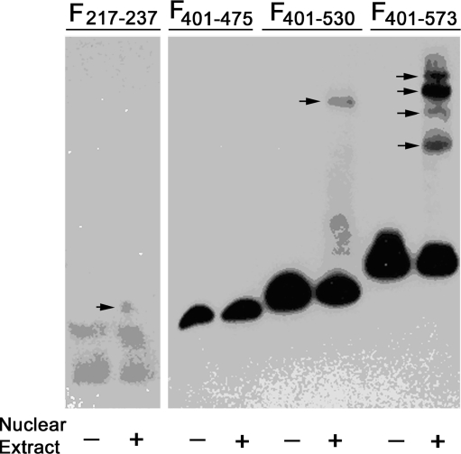 Fig. 7