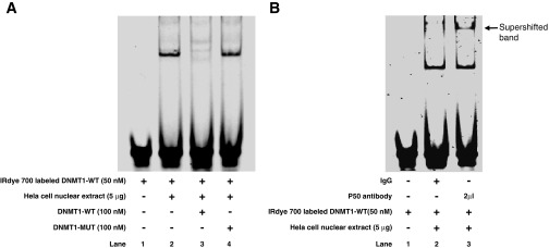 Fig. 9.