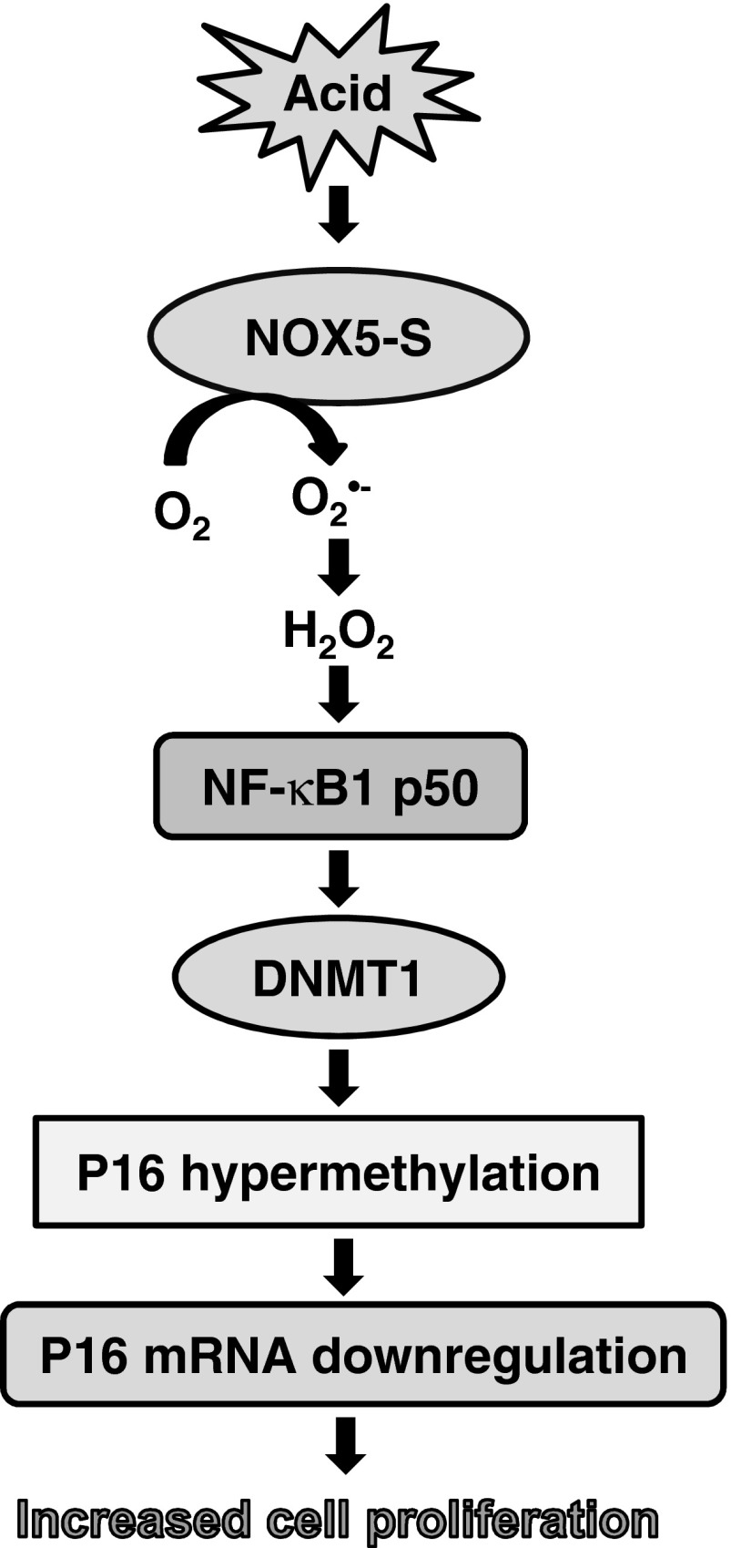 Fig. 10.