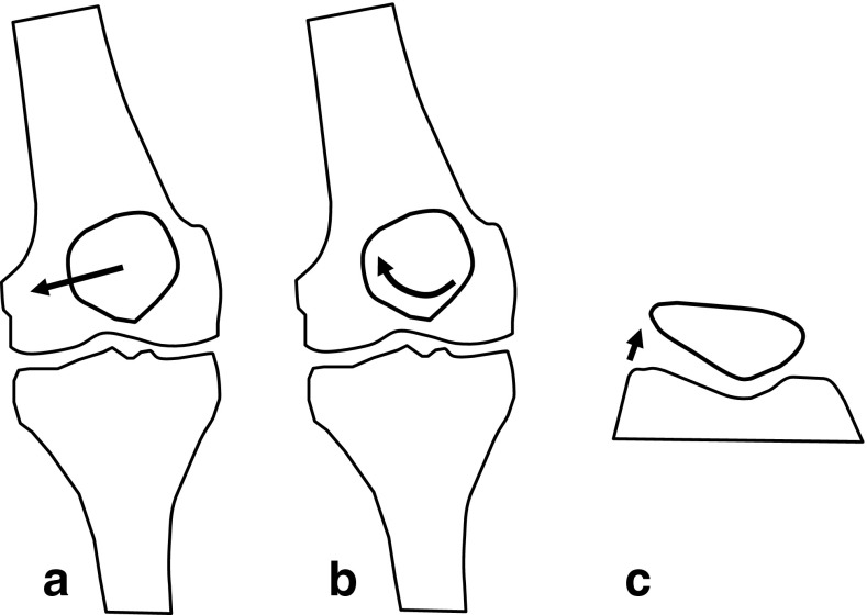 Fig. 1