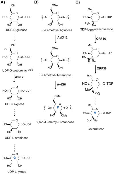 Scheme 1