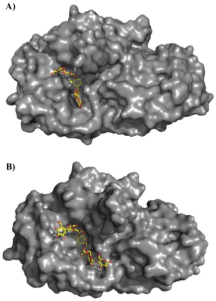 Figure 10