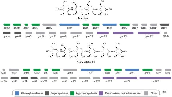 Figure 11