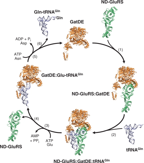 Figure 6.