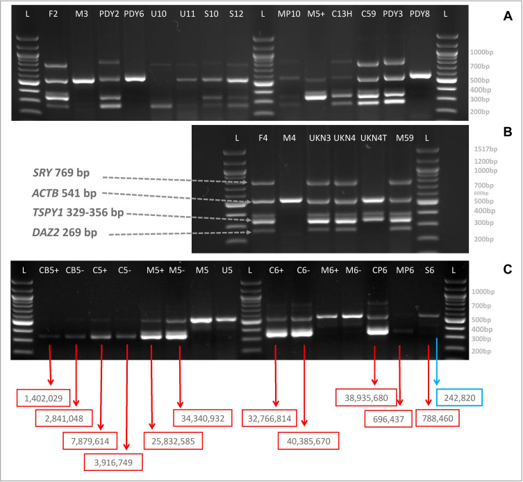 Figure 2