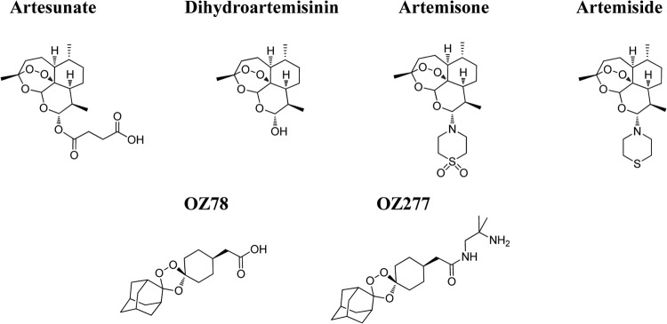 FIG 1