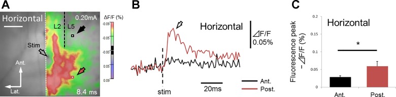 Fig. 12.