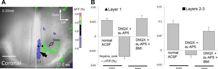 Fig. 6.