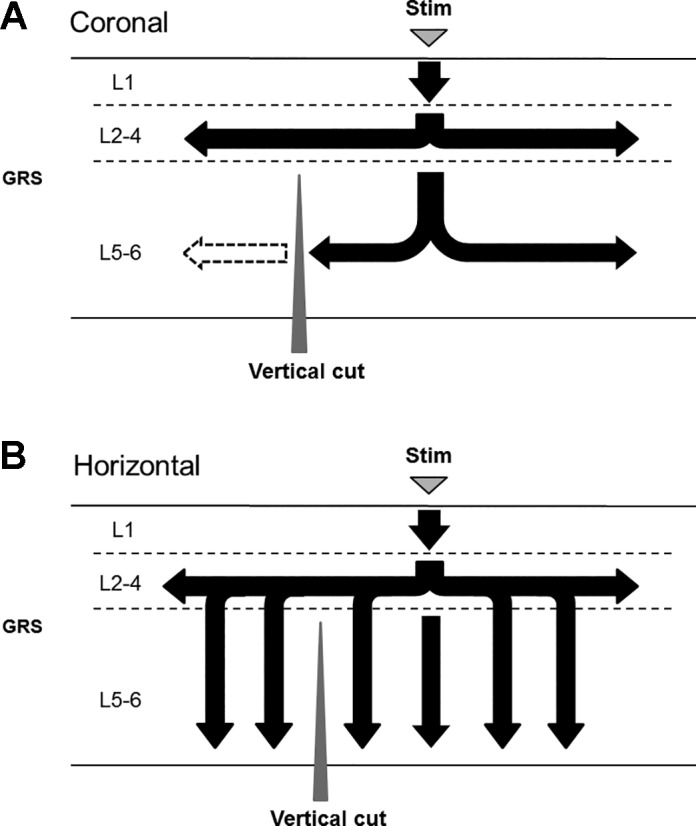 Fig. 11.