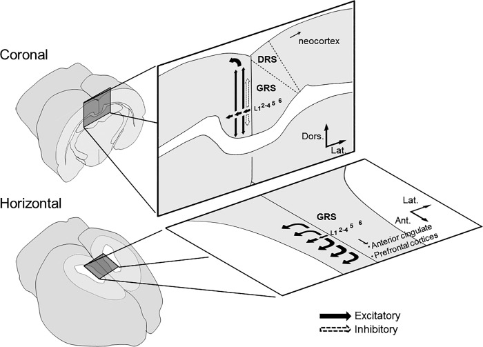 Fig. 13.