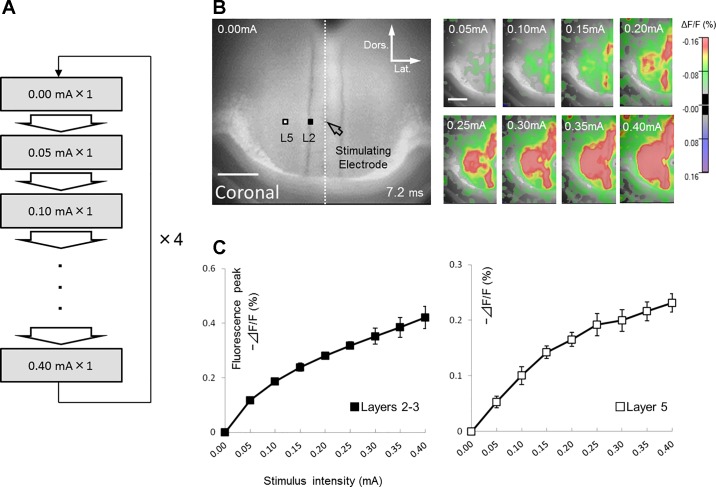 Fig. 2.