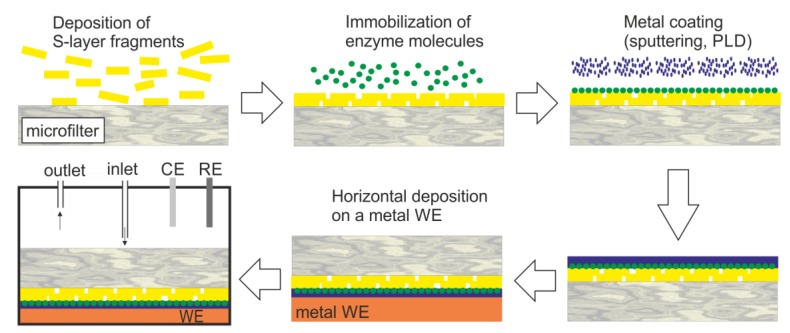 Figure 7