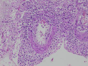 Figure 4-53
