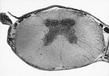 Figure 4-34