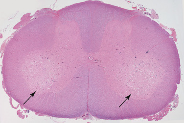 Figure 4-62