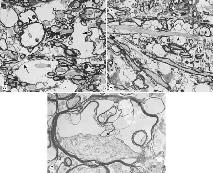 Figure 4-82